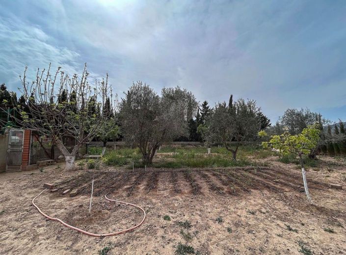 Image No.15-4 Bed Country House for sale