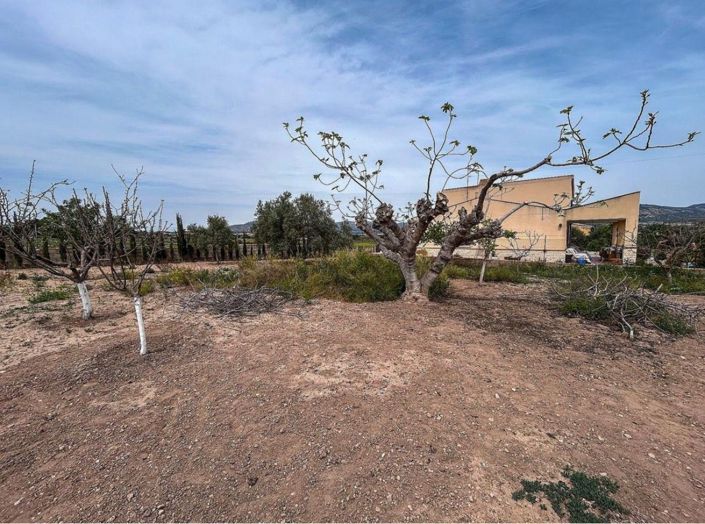 Image No.37-4 Bed Country House for sale