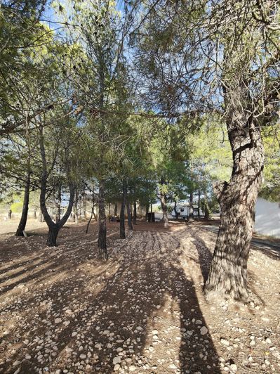 Image No.9-3 Bed Country House for sale