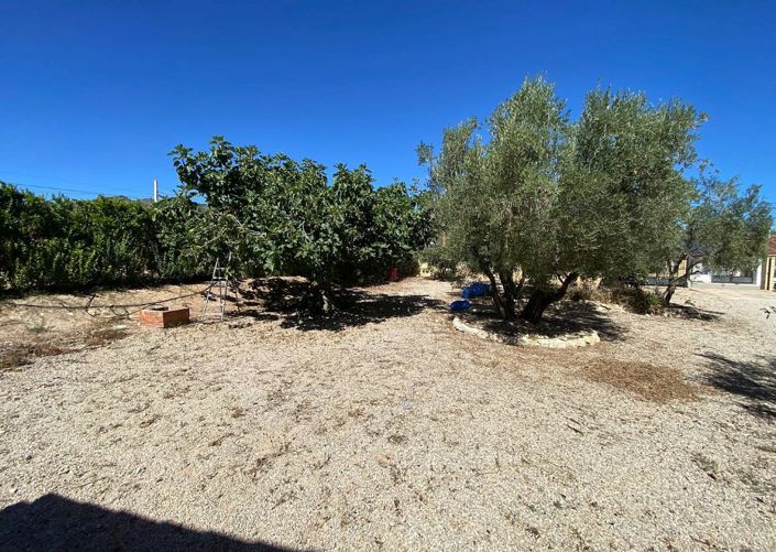 Image No.16-Villa de 3 chambres à vendre à Salinas