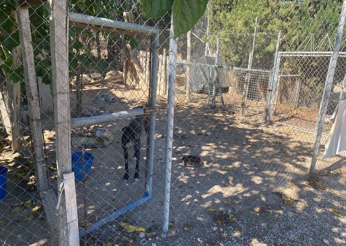 Image No.23-3 Bed Villa for sale