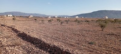 w5qwgngyp8r7u3nd8xi7x