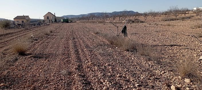 Image No.21-Finca de 4 chambres à vendre à Pinoso