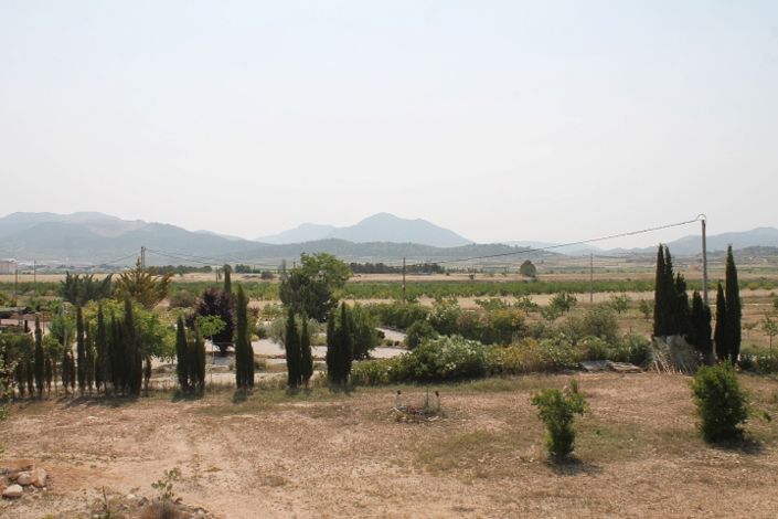 Image No.25-4 Bed Finca for sale