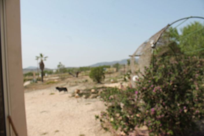 Image No.28-4 Bed Finca for sale