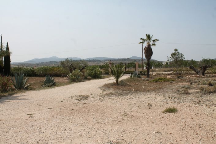 Image No.32-4 Bed Finca for sale