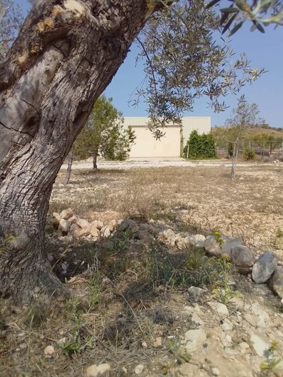 Image No.33-4 Bed Finca for sale