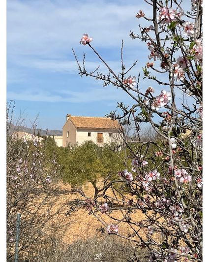 Image No.40-5 Bed Country House for sale