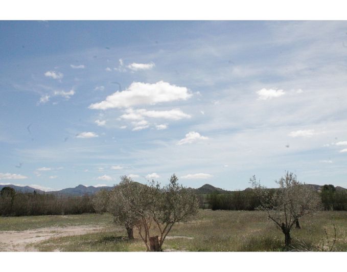 Image No.32-3 Bed Country House for sale