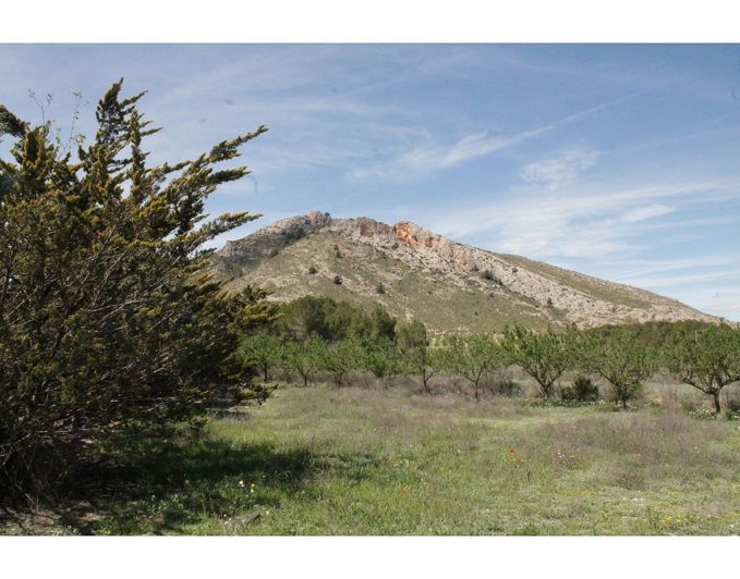 Image No.35-3 Bed Country House for sale