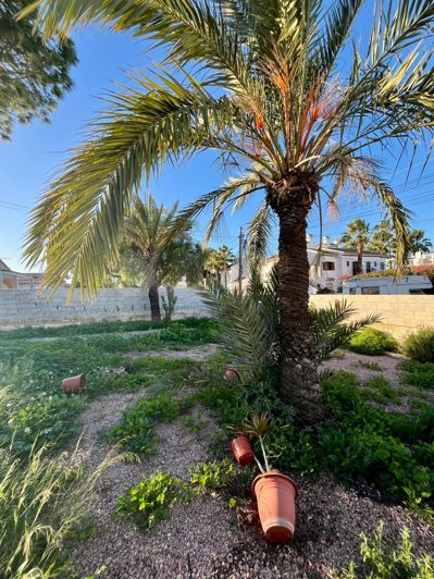 Image No.7-3 Bed Villa for sale