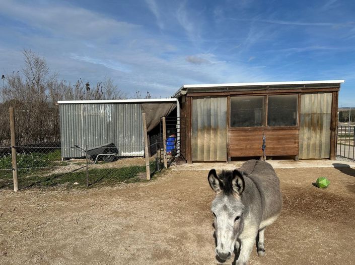 Image No.7-Villa de 5 chambres à vendre à Villena