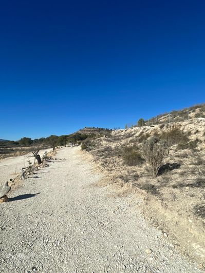 Image No.11-1 Bed Land for sale