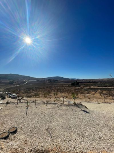 Image No.20-1 Bed Land for sale