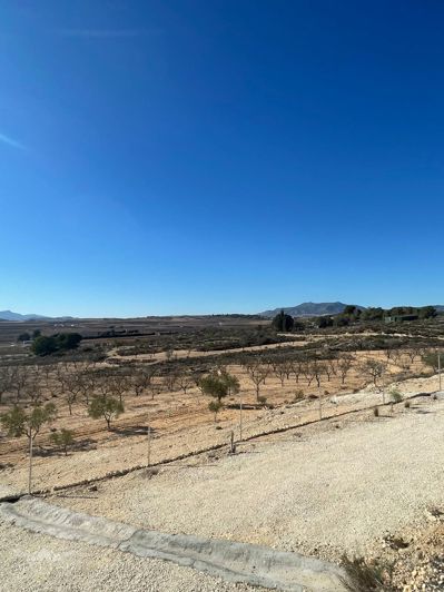 Image No.22-1 Bed Land for sale