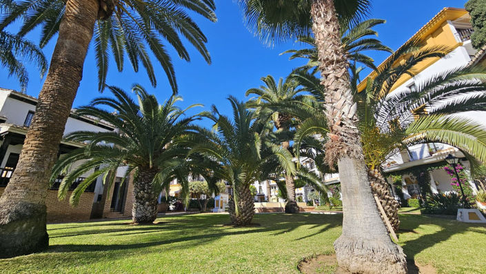 Image No.26-4 Bed Penthouse for sale