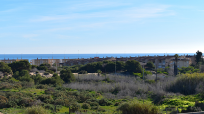 o1jg4frq62oagic7185brj11l632