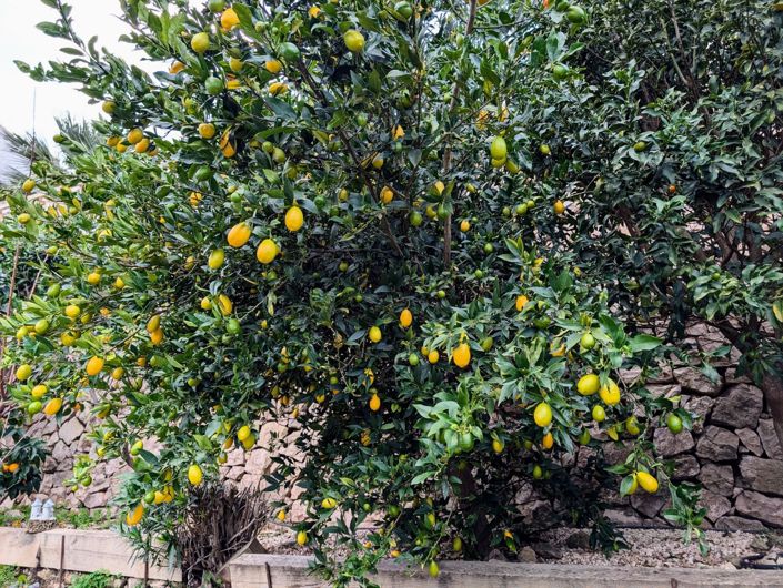 Image No.44-4 Bed Villa for sale