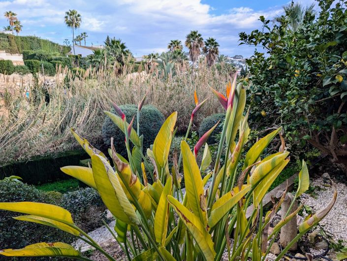 Image No.47-4 Bed Villa for sale