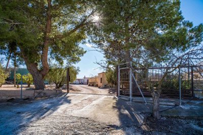 wc705c58a-31c3-47a2-98ca-cf6aff2a5977