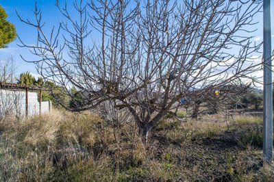 w8261b3e7-871c-436f-91e2-512f63e529e0