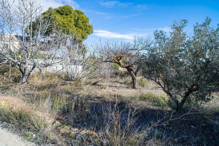 Image No.6-5 Bed Country House for sale