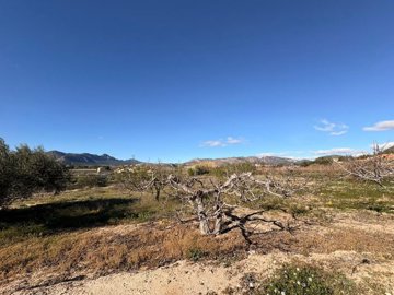 w3fcafa95-fbd3-4556-b8b3-73fa8cffe110