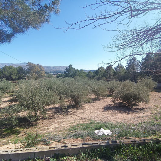 Image No.28-6 Bed Country House for sale