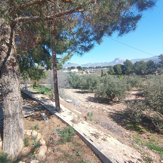 Image No.32-6 Bed Country House for sale