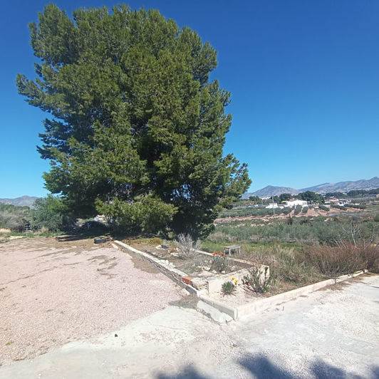 Image No.33-6 Bed Country House for sale