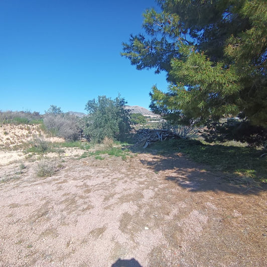 Image No.39-6 Bed Country House for sale