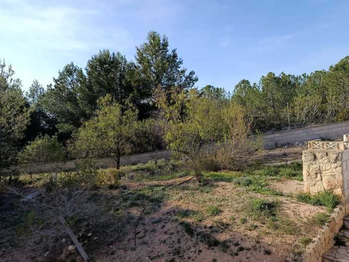 Image No.5-6 Bed Country House for sale