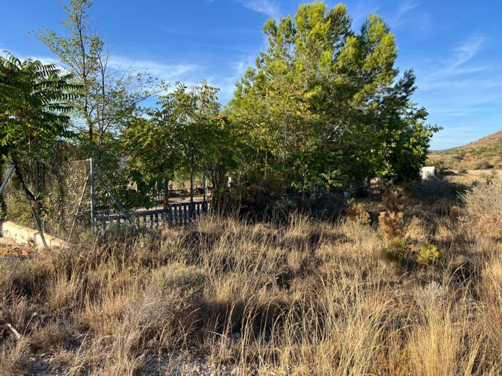 Image No.22-1 Bed Finca for sale