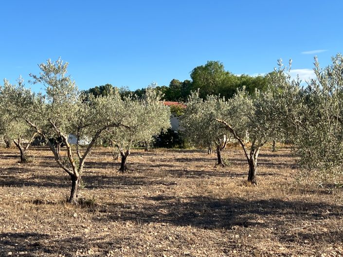 Image No.3-1 Bed Finca for sale