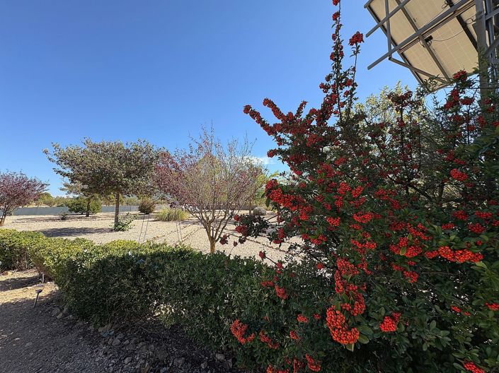 Image No.47-Villa de 3 chambres à vendre à Biar