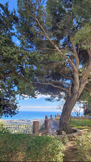 Image No.19-3 Bed Townhouse for sale