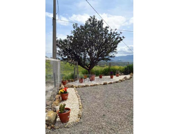 Image No.18-5 Bed Country House for sale