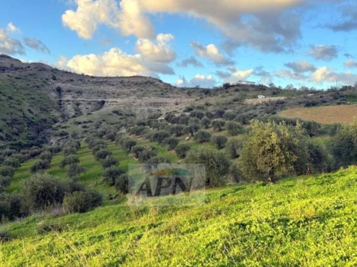 Image No.19-5 Bed Country House for sale