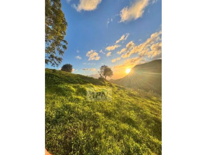 Image No.21-5 Bed Country House for sale