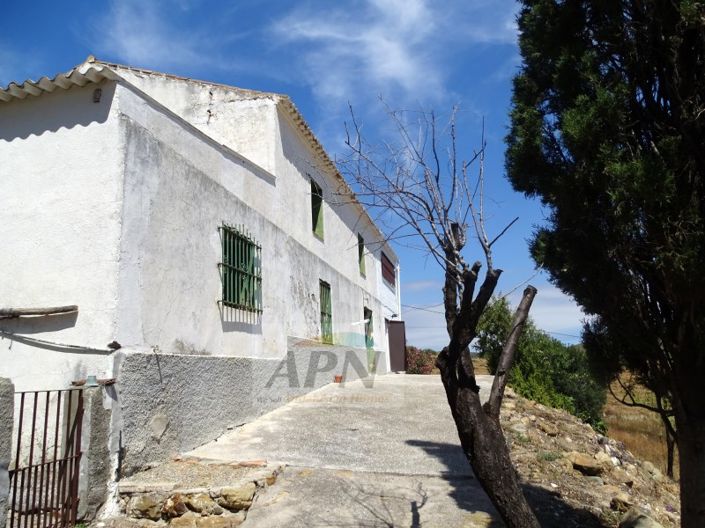 Image No.5-5 Bed Country House for sale