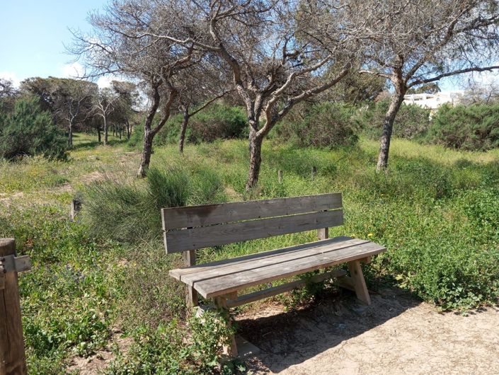 Image No.28-Bungalow de 2 chambres à vendre à Guardamar del Segura