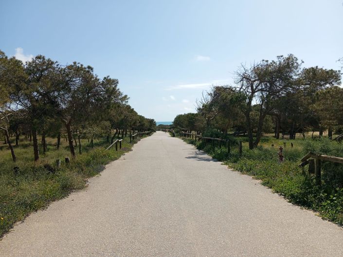 Image No.29-Bungalow de 2 chambres à vendre à Guardamar del Segura