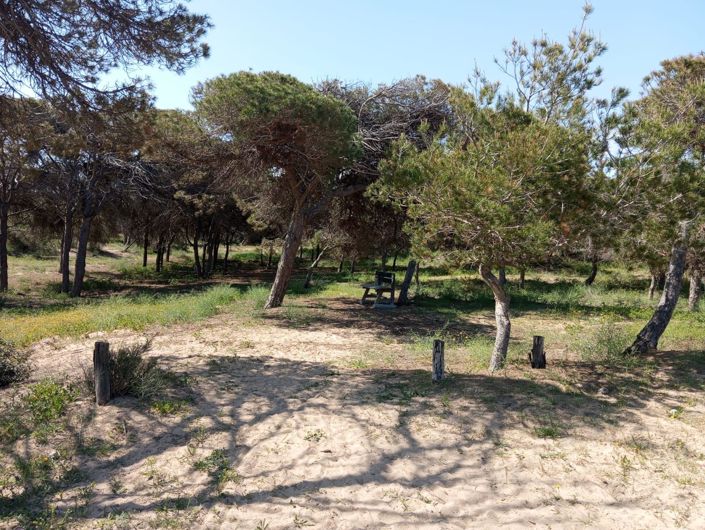 Image No.30-Bungalow de 2 chambres à vendre à Guardamar del Segura