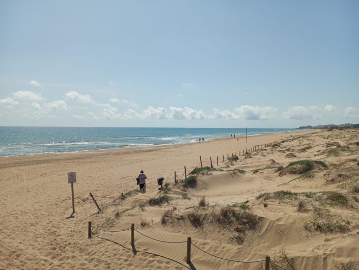 Image No.35-Bungalow de 2 chambres à vendre à Guardamar del Segura