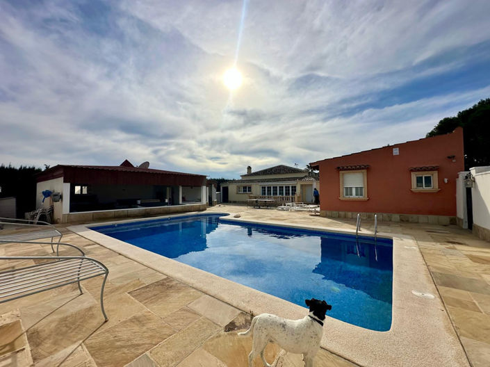 Image No.8-6 Bed Finca for sale