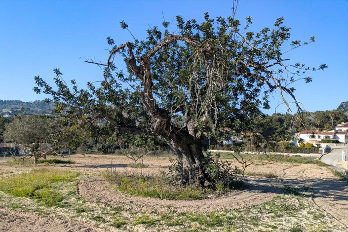 Image No.42-Villa for sale