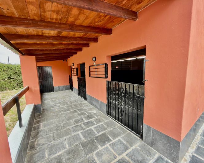 Image No.34-Villa de 6 chambres à vendre à Almoradí