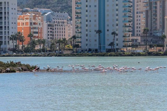 Image No.27-3 Bed Villa for sale