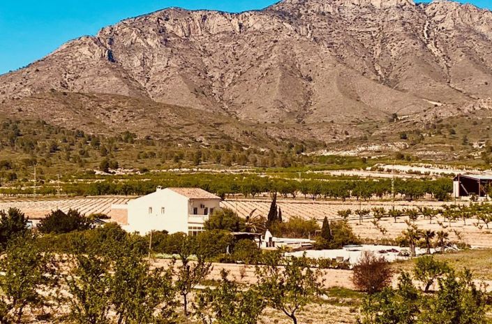 Image No.18-Maison de campagne de 5 chambres à vendre à Murcie