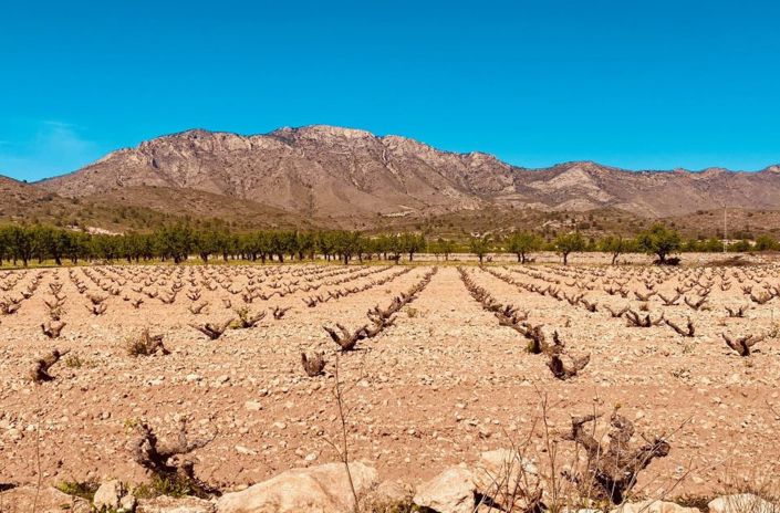 Image No.23-Maison de campagne de 5 chambres à vendre à Murcie